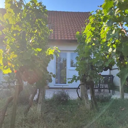 Apartman Hrozínek