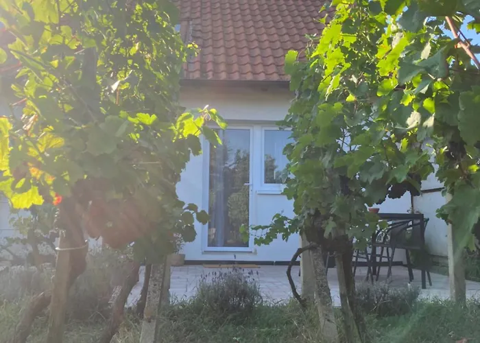 Lägenhet Hrozinek