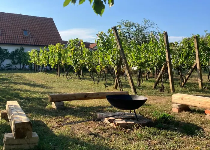 Hrozinek Lägenhet *
